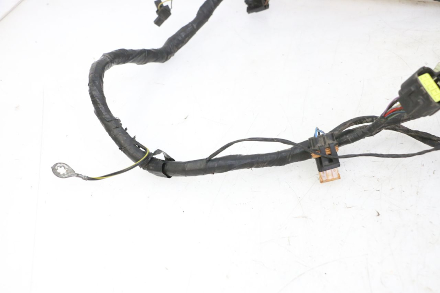 photo de WIRE HARNESS TRIUMPH SPRINT 900 (1995 - 1998) - Component zoom