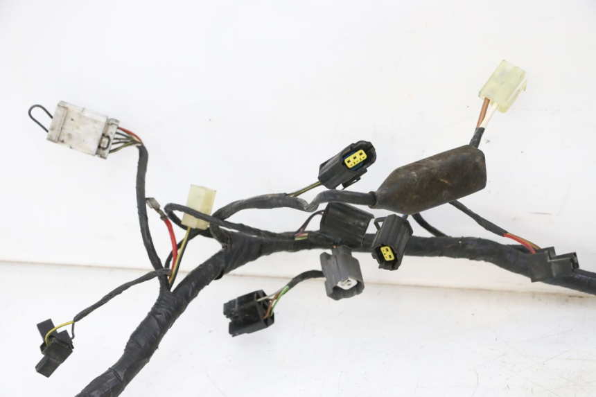 photo de WIRE HARNESS TRIUMPH SPRINT 900 (1995 - 1998) - High-resolution close-up