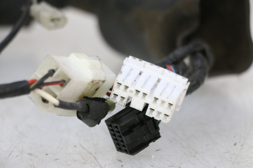 photo de WIRE HARNESS TRIUMPH SPRINT 900 (1995 - 1998) - Focus on structure