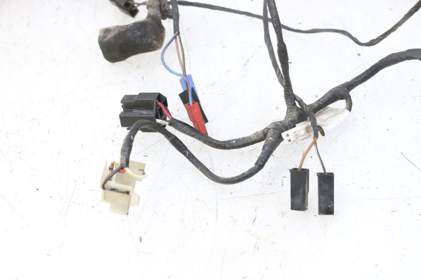 photo de WIRE HARNESS TRIUMPH SPRINT 900 (1995 - 1998) - Alternative angle