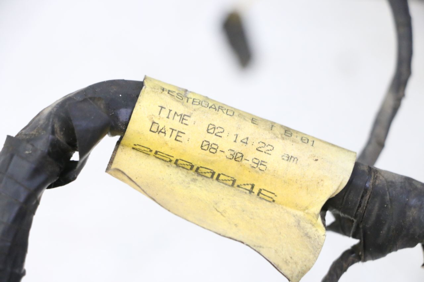 photo de WIRE HARNESS TRIUMPH SPRINT 900 (1995 - 1998) - Alternative perspective