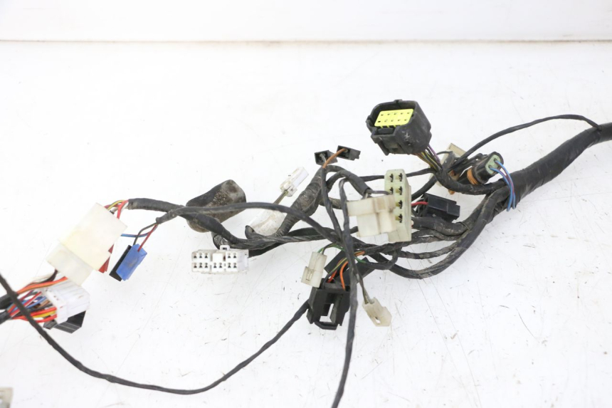 photo de WIRE HARNESS TRIUMPH SPRINT 900 (1995 - 1998) - Markings and original references