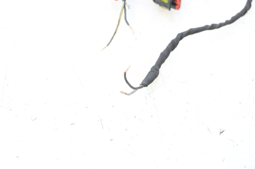 photo de WIRE HARNESS CAN-AM SPYDER RS 1000 (2008 - 2012) - Detailed visual inspection