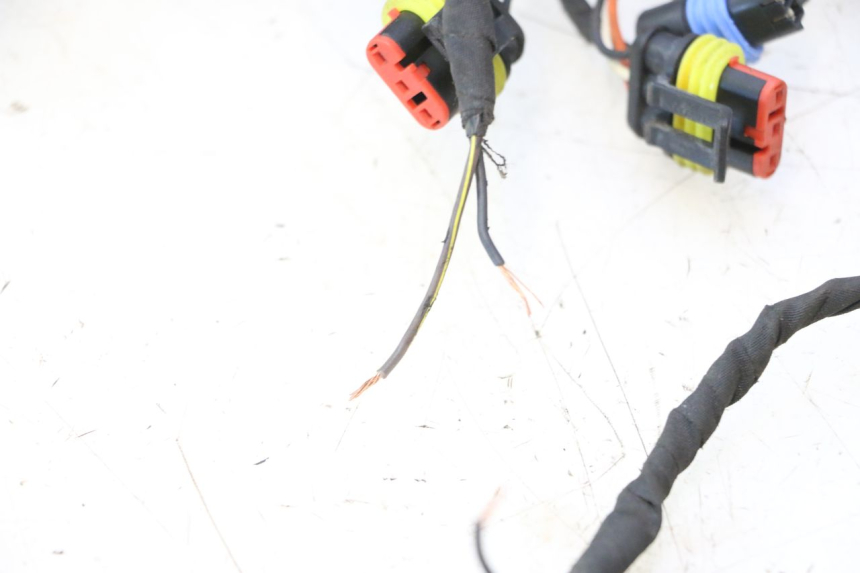 photo de WIRE HARNESS CAN-AM SPYDER RS 1000 (2008 - 2012) - Focus on structure