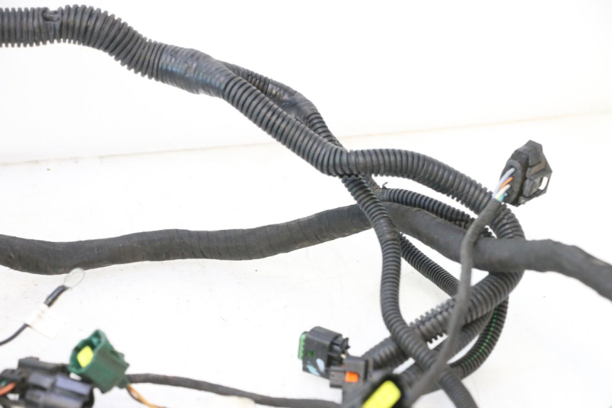 photo de WIRE HARNESS CAN-AM SPYDER RS 1000 (2008 - 2012) - Spare part profile view
