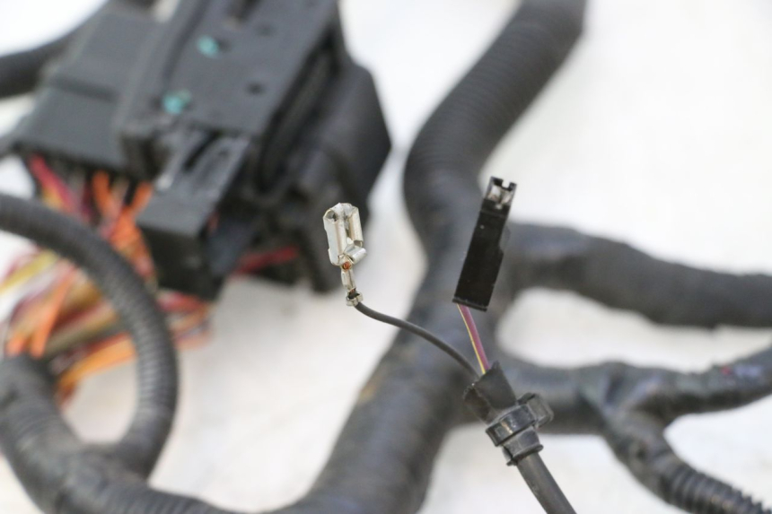 photo de WIRE HARNESS CAN-AM SPYDER RS 1000 (2008 - 2012) - Zoom on usage condition