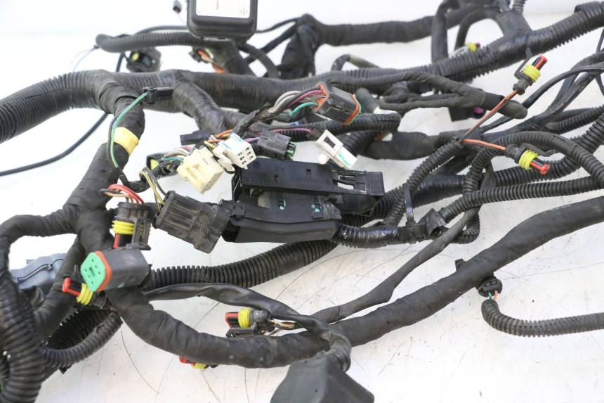 photo de WIRE HARNESS CAN-AM SPYDER RS 1000 (2008 - 2012) - Technical close-up