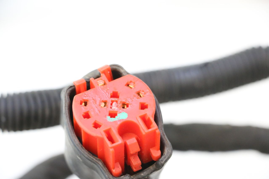 photo de WIRE HARNESS CAN-AM SPYDER RS 1000 (2008 - 2012) - Markings and original references