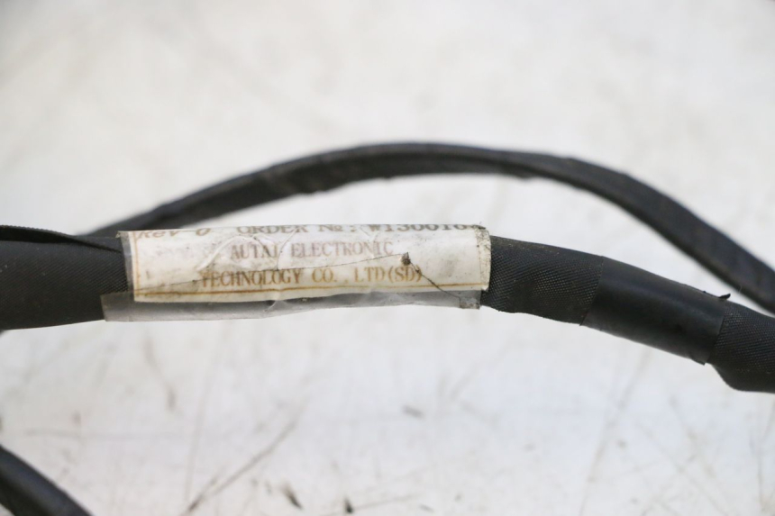 photo de WIRING HARNESS APRILIA SR 2T 50 (2012 - 2017) - Focus on structure
