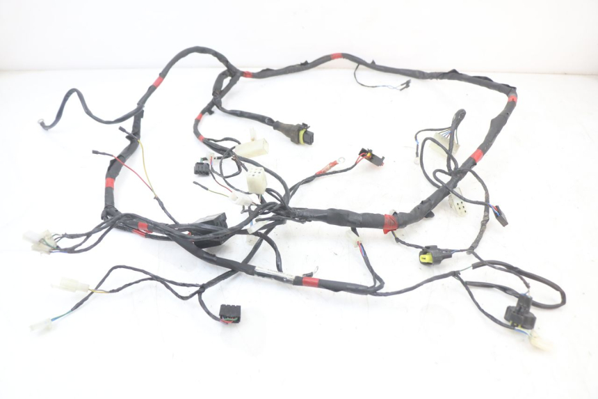 photo de WIRE HARNESS APRILIA SR MOTARD 50 (2012 - 2018) - Main view