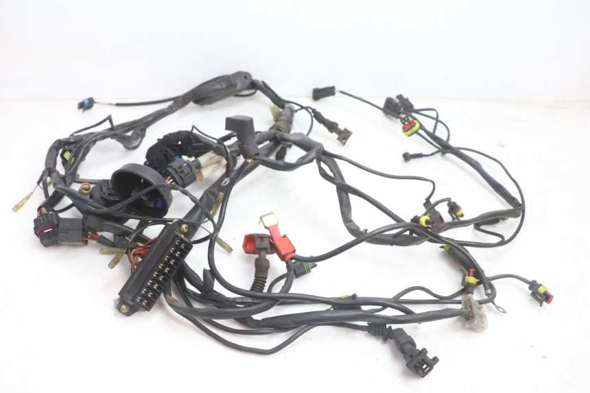 photo de WIRE HARNESS DUCATI SS IE DS CARENEE 1000 (2002 - 2006) - Main view