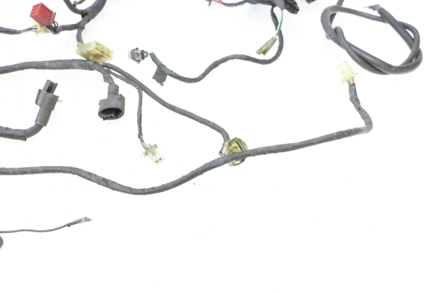 photo de WIRE HARNESS HONDA ST PAN EUROPEAN 1100 (1990 - 2002) - Distinctive features