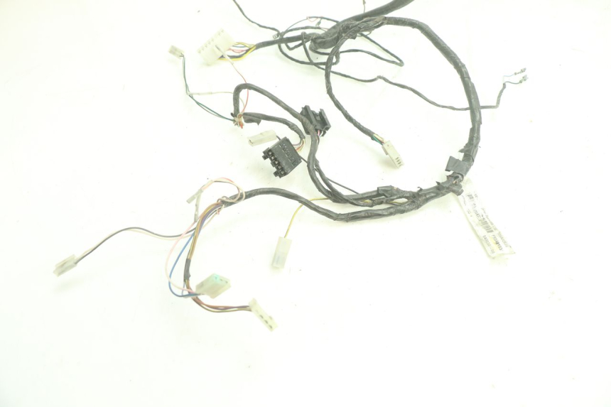 photo de WIRE HARNESS GILERA STALKER 50 (2004 - 2014) - Zoom on usage condition