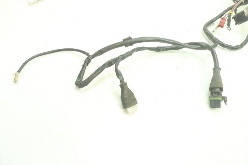 photo de WIRE HARNESS GILERA STALKER 50 (2004 - 2014) - Technical close-up