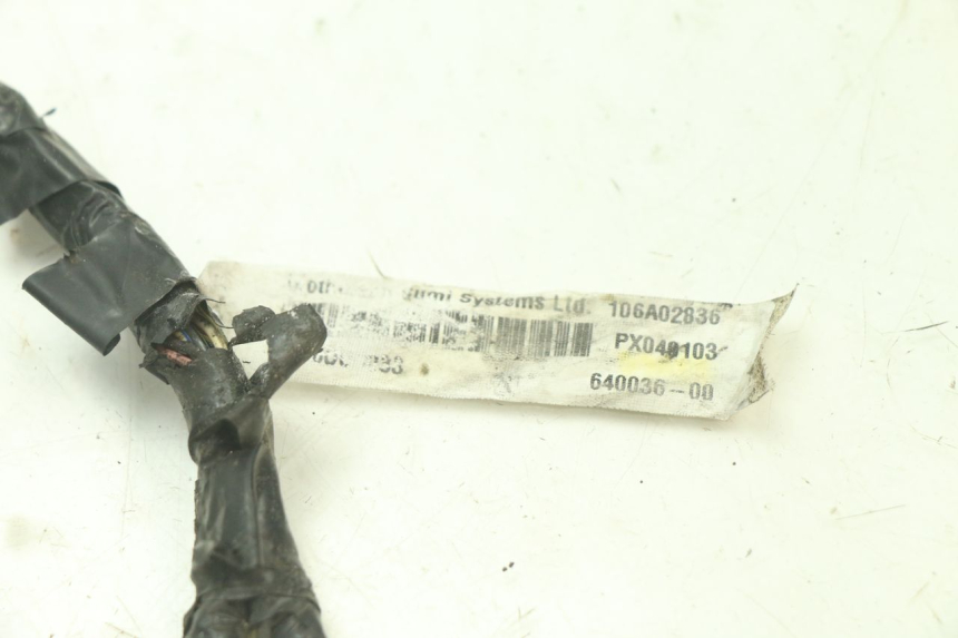 photo de WIRE HARNESS GILERA STALKER 50 (2004 - 2014) - Product overview