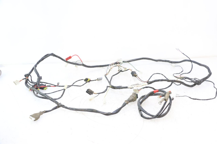 photo de WIRE HARNESS GILERA STALKER 50 (2004 - 2014) - Main view