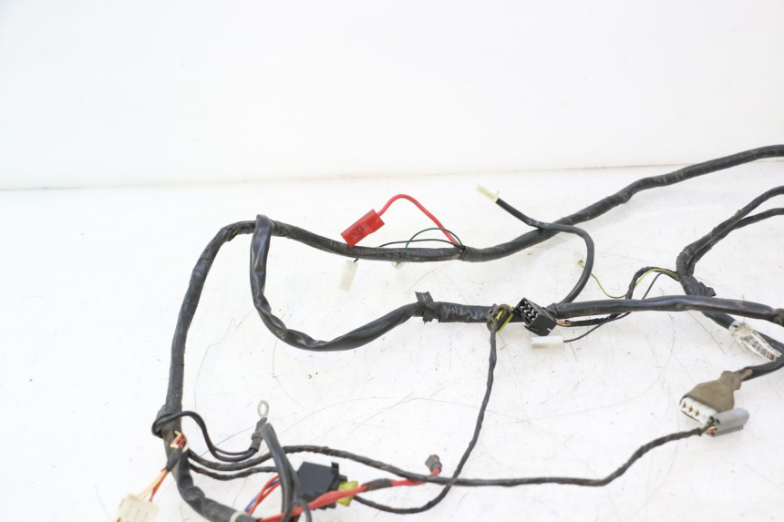 photo de WIRE HARNESS GILERA STALKER 50 (2004 - 2014) - Component detail