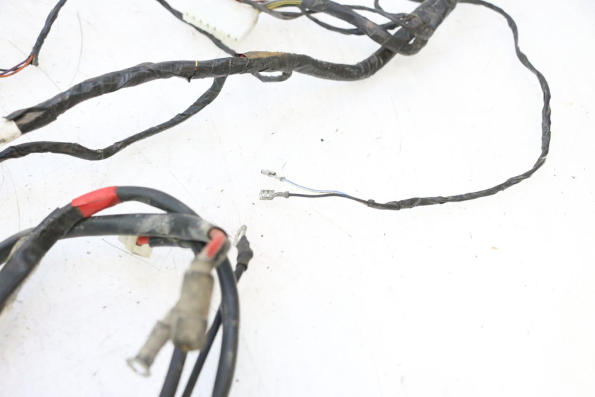 photo de WIRE HARNESS GILERA STALKER 50 (2004 - 2014) - Component zoom