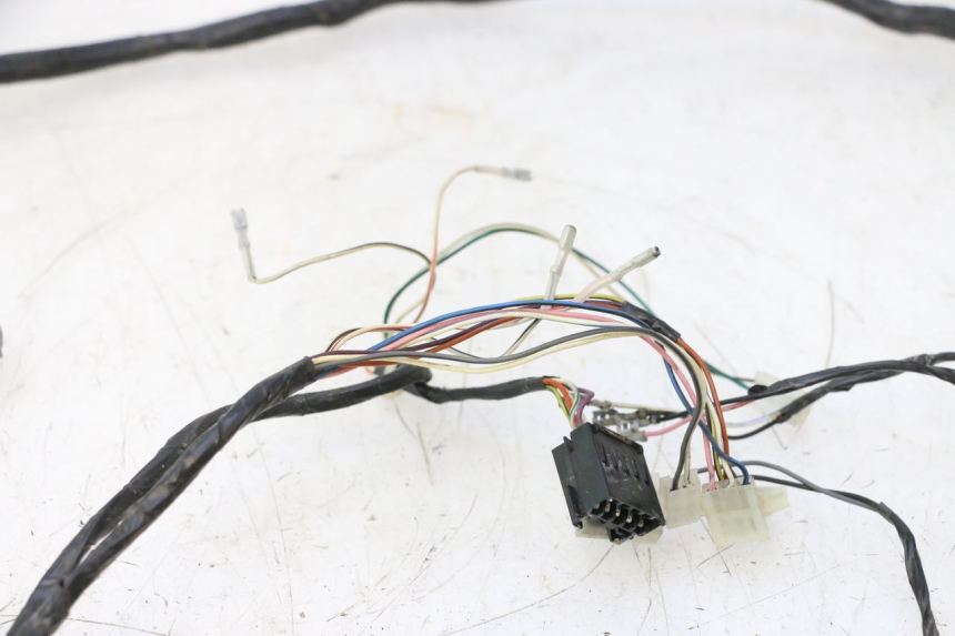 photo de WIRE HARNESS GILERA STALKER 50 (2004 - 2014) - Alternative perspective