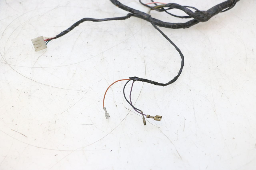 photo de WIRE HARNESS GILERA STALKER 50 (2004 - 2014) - Product overview