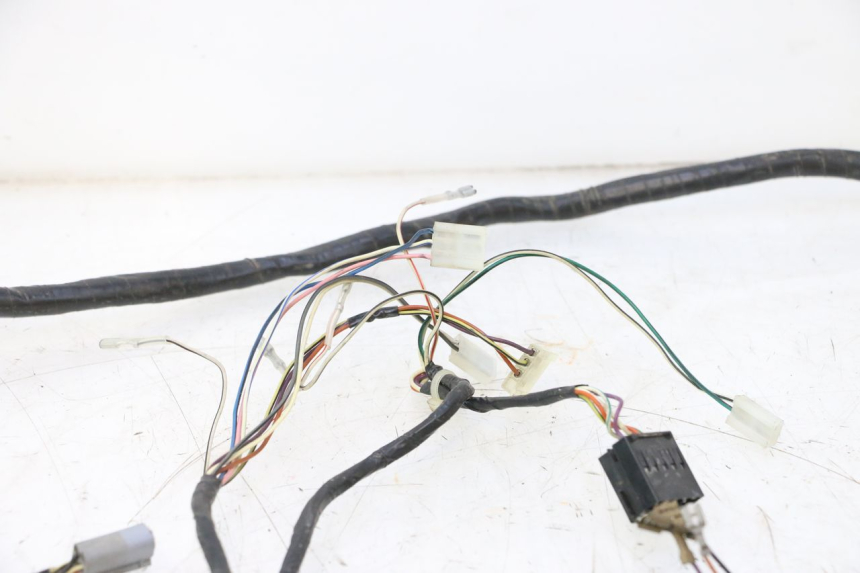 photo de WIRE HARNESS GILERA STALKER 50 (2004 - 2014) - Markings and original references