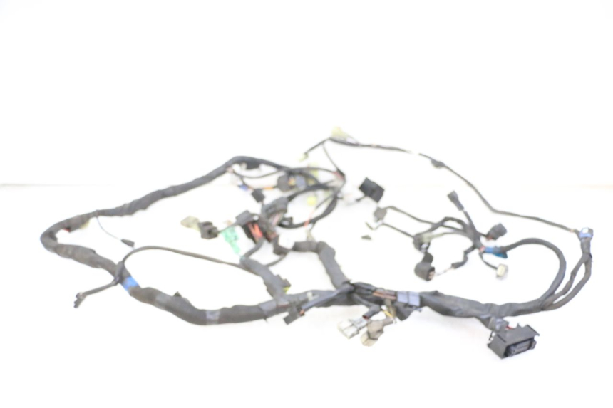 photo de WIRE HARNESS SUZUKI BURGMAN 125 (2015 - 2017) - Checked used part