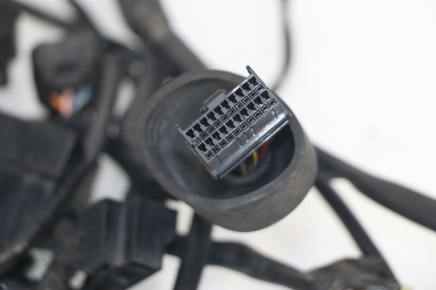 photo de WIRING HARNESS SUZUKI XF FREEWIND 650 (1997 - 2003) - Alternative perspective