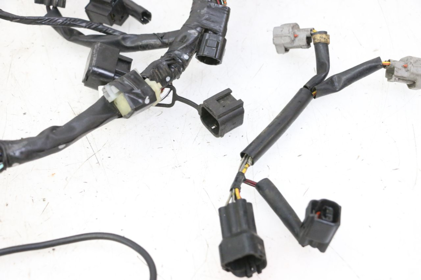 photo de WIRE HARNESS SUZUKI SV S 650 (2003 - 2009) - Spare part profile view