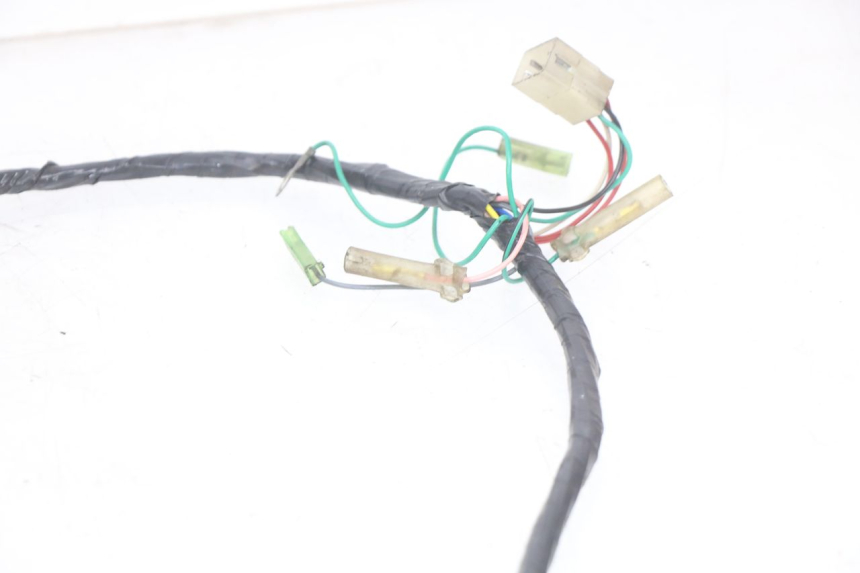 photo de WIRING HARNESS PEUGEOT SV 125 (1991 - 1994) - Technical close-up