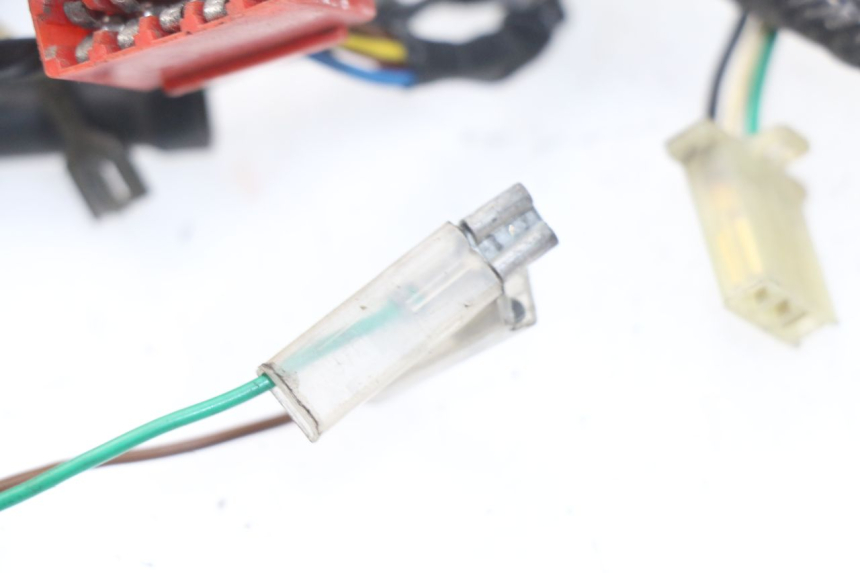 photo de WIRE HARNESS PEUGEOT SV 50 (1992 - 2004) - Zoom on usage condition