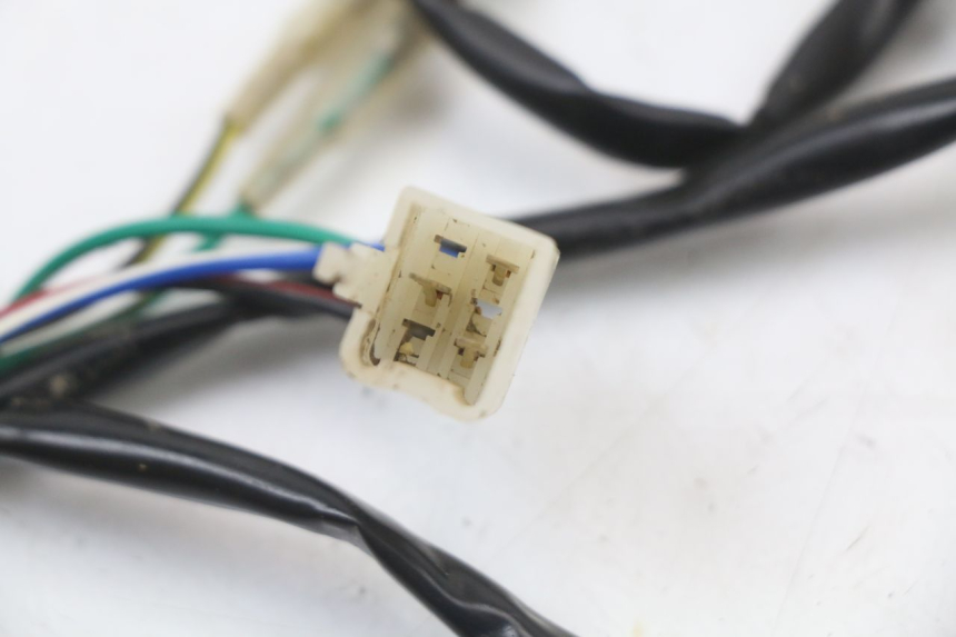photo de WIRE HARNESS MINI MX SX 125 - Alternative perspective