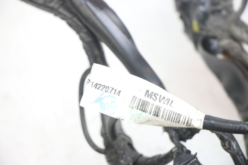 photo de WIRING HARNESS APRILIA SXR 50 (2021 - 2023) - Zoom on usage condition