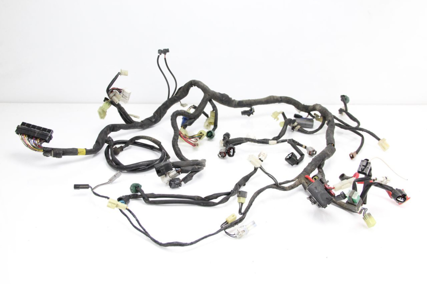photo de WIRE HARNESS YAMAHA TDM ABS 900 (2002 - 2014) - Main view