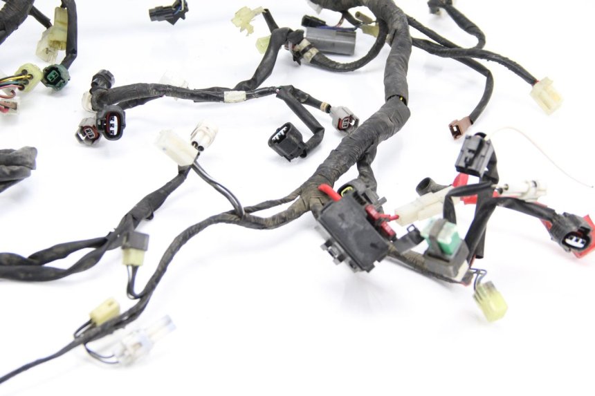 photo de WIRE HARNESS YAMAHA TDM ABS 900 (2002 - 2014) - Alternative perspective