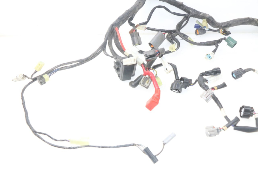 photo de WIRE HARNESS YAMAHA TDM ABS 900 (2002 - 2014) - Distinctive features