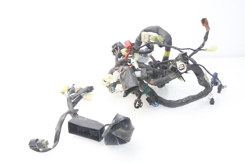 photo de WIRE HARNESS YAMAHA TDM ABS 900 (2002 - 2014) - Alternative perspective