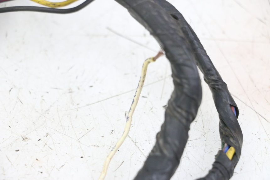 photo de WIRE HARNESS YAMAHA TDR DELTABOX 125 (1997 - 2003) - Fixing points details