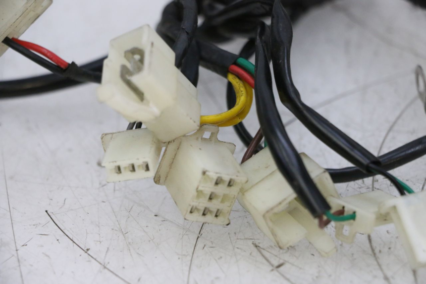 photo de WIRE HARNESS NECO TEMPO 4T 50 (2022 - 2026) - Additional view of the item