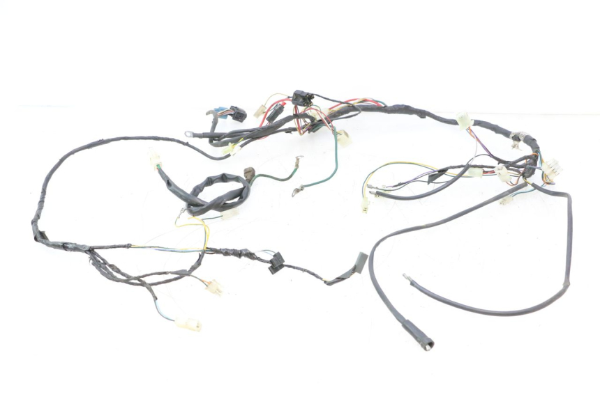 photo de WIRING HARNESS PEUGEOT TKR TREKKER FURIOUS 50 (2005 - 2014) - Main view