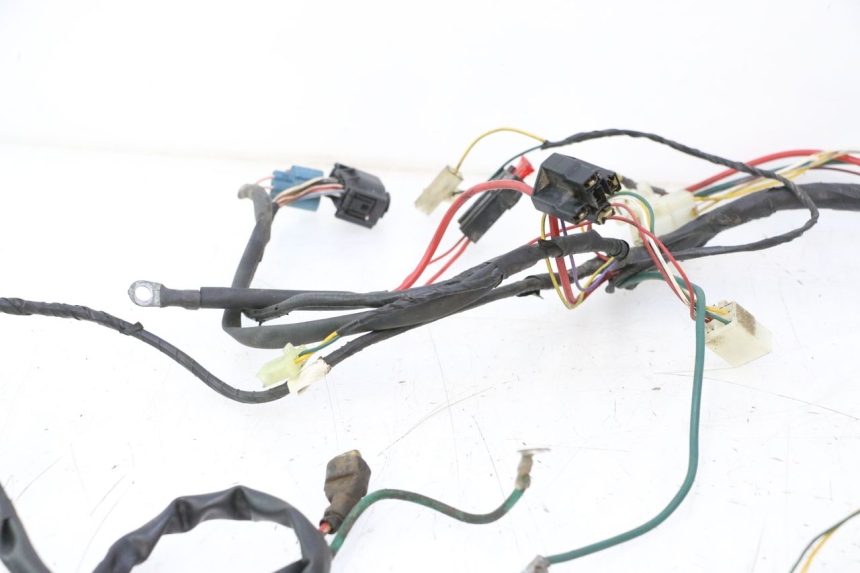 photo de WIRING HARNESS PEUGEOT TKR TREKKER FURIOUS 50 (2005 - 2014) - Distinctive features