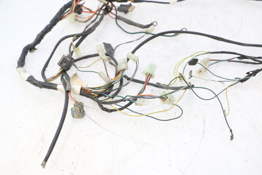 photo de WIRING HARNESS PEUGEOT TKR TREKKER FURIOUS 50 (2005 - 2014) - Component detail