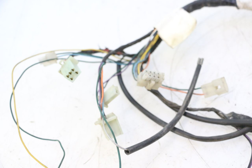 photo de WIRING HARNESS PEUGEOT TKR TREKKER FURIOUS 50 (2005 - 2014) - Zoom on usage condition