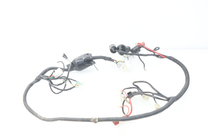 photo de WIRE HARNESS BAOTIAN TRAVEL SPIRIT 50 (2010 - 2012) - Zoom on usage condition