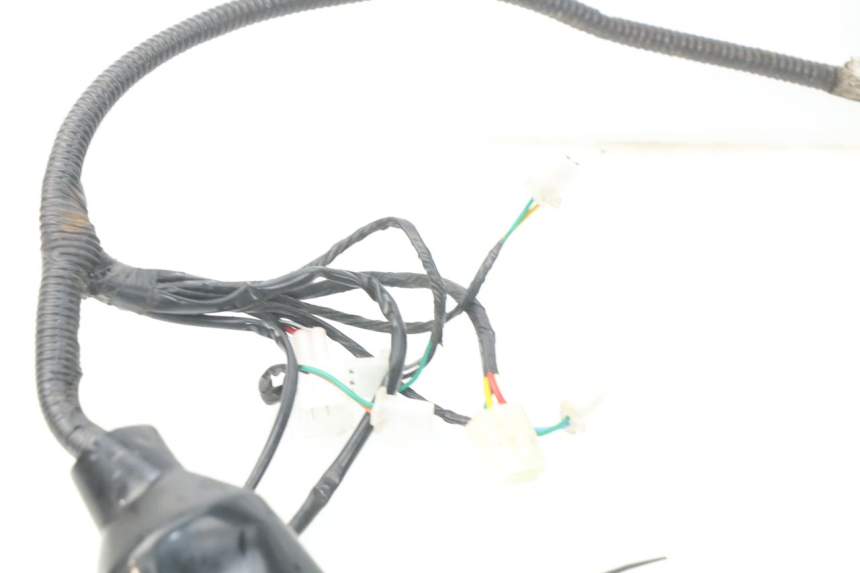 photo de WIRE HARNESS BAOTIAN TRAVEL SPIRIT 50 (2010 - 2012) - Technical close-up