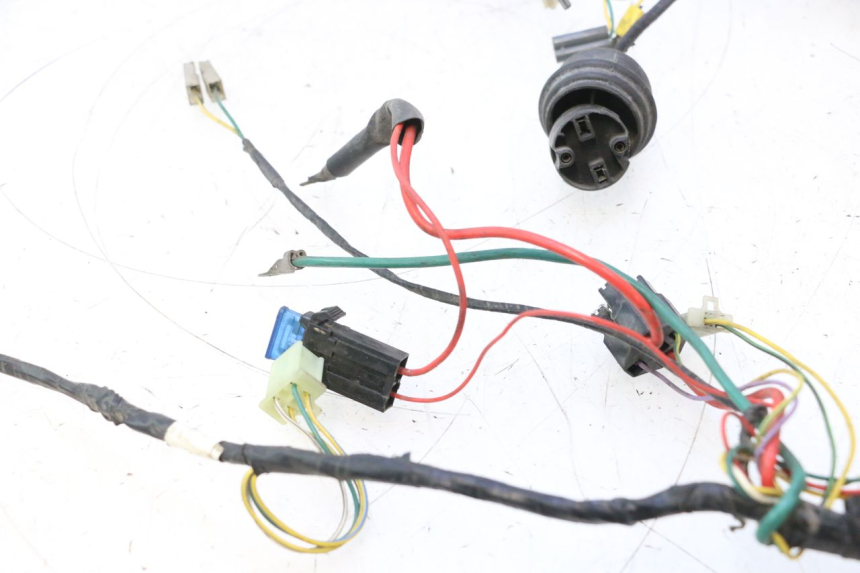 photo de WIRING HARNESS PEUGEOT TREKKER 50 (1995 - 2004) - Technical close-up
