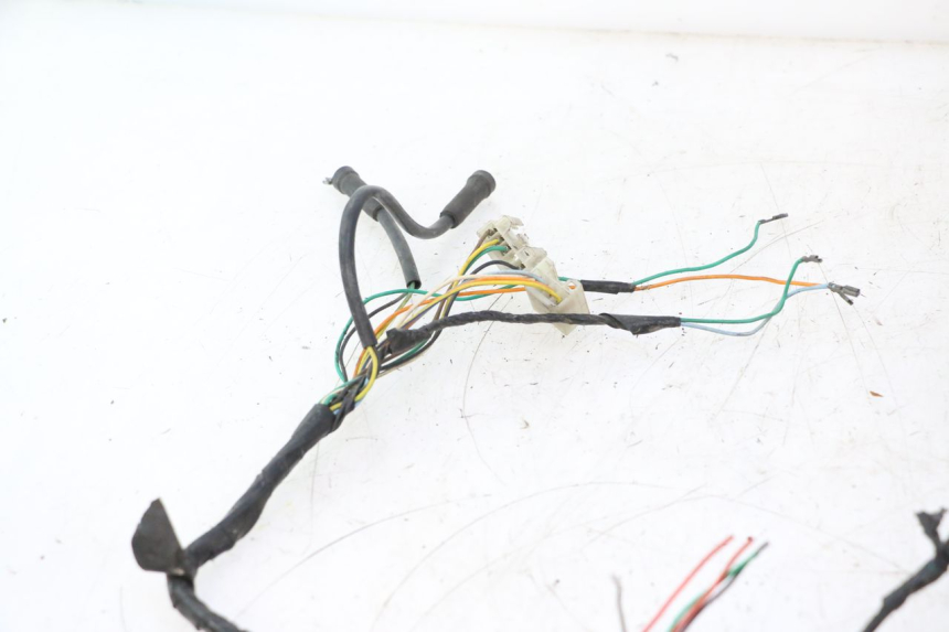 photo de WIRING HARNESS PEUGEOT TREKKER 50 (1995 - 2004) - Alternative perspective
