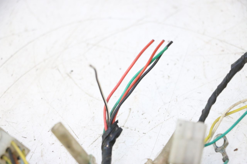 photo de WIRING HARNESS PEUGEOT TREKKER 50 (1995 - 2004) - Fixing points details