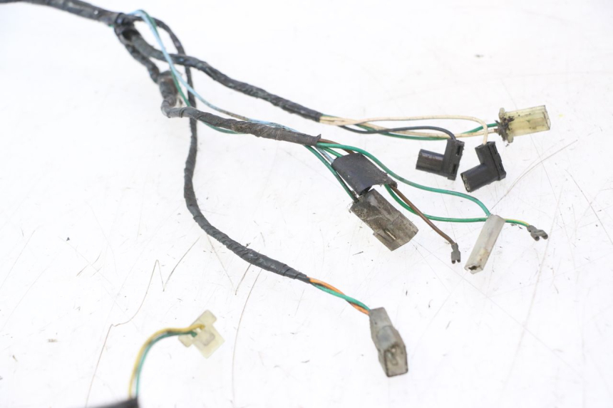 photo de WIRING HARNESS PEUGEOT TREKKER 50 (1995 - 2004) - Zoom on usage condition