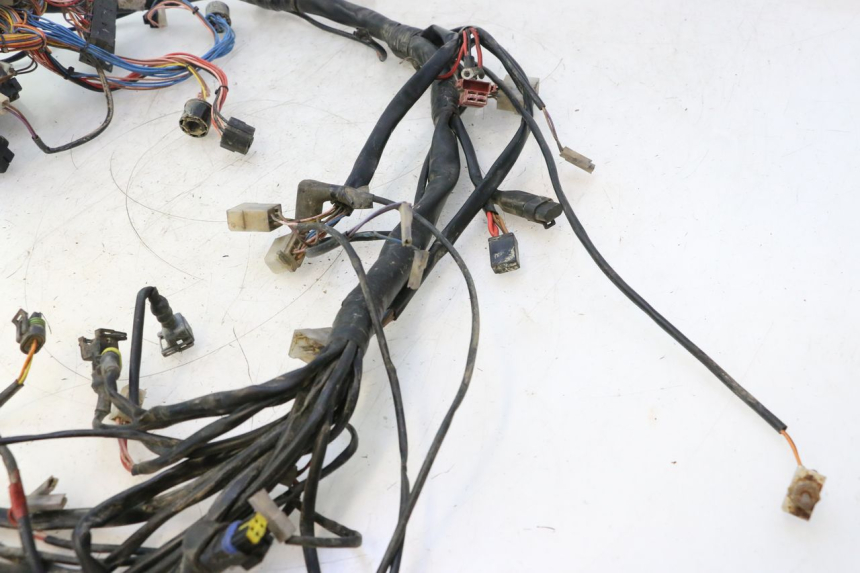 photo de WIRE HARNESS BOOM TRIKE FUN 500 (2004 - 2010) - Distinctive features