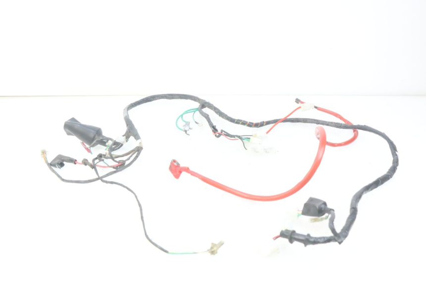 photo de WIRING HARNESS PEUGEOT TWEET 4T 50 (2010 - 2014) - Main view